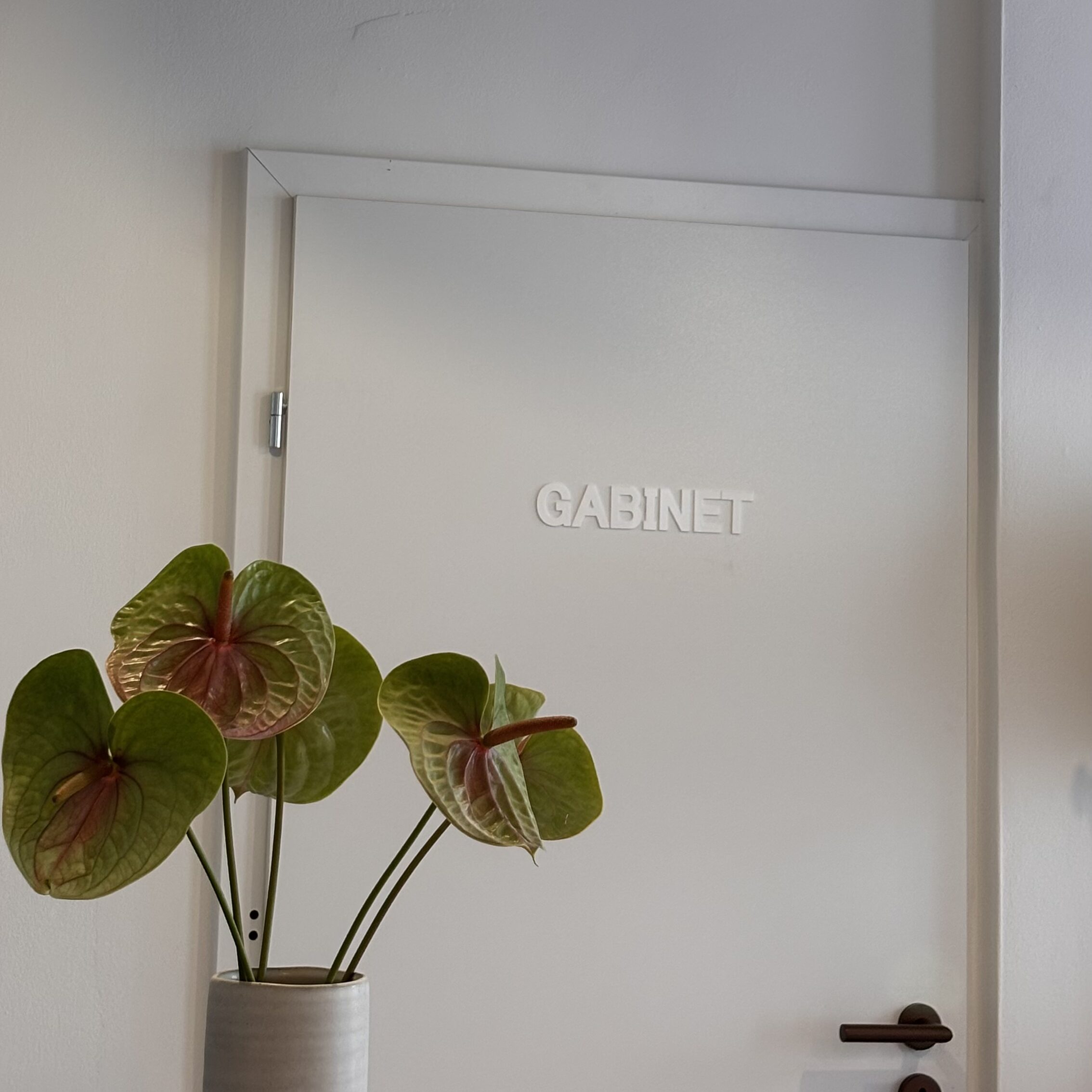 About img 8141